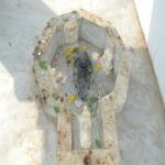 Vraj-Yatra-2014- (737)